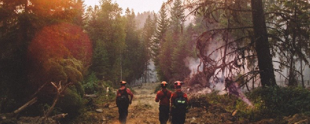 Wildland firefighters walk into a forest to fight a wildfire